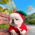 Cute Fruit Dog Hoodies for Small Dogs – Warm Winter Fleece Pet Clothes, Puppy & Cat Costumes for French Bulldog, Chihuahua, and More