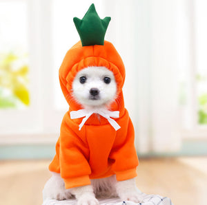 Cute Fruit Dog Hoodies for Small Dogs – Warm Winter Fleece Pet Clothes, Puppy & Cat Costumes for French Bulldog, Chihuahua, and More