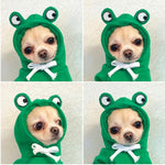 Cute Fruit Dog Hoodies for Small Dogs – Warm Winter Fleece Pet Clothes, Puppy & Cat Costumes for French Bulldog, Chihuahua, and More