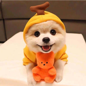 Cute Fruit Dog Hoodies for Small Dogs – Warm Winter Fleece Pet Clothes, Puppy & Cat Costumes for French Bulldog, Chihuahua, and More