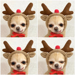 Cute Fruit Dog Hoodies for Small Dogs – Warm Winter Fleece Pet Clothes, Puppy & Cat Costumes for French Bulldog, Chihuahua, and More