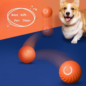 Pet Dog Rubber Ball Toy – Durable Bite-Resistant Chew & Training Ball for Puppies and Dogs, Teeth Cleaning, USB Rechargeable