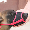 Mouth Cover for Large Dogs – Prevent Eating Indiscriminately | Comfortable & Breathable Labrador Dog Muzzle